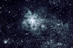 Tarantula Nebula (NGC 2070)
