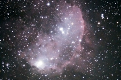 IC 2599