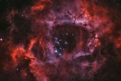 Rosette Nebula
