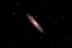 NGC 253 Sculptor Galaxy