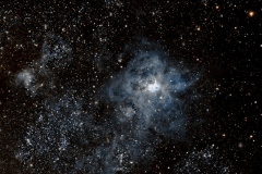 Tarantula Nebula