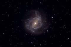 Southern Pinwheel