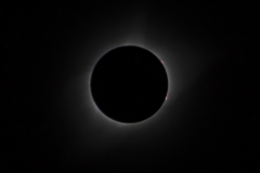 Solar Eclipse 2017 - Prominences