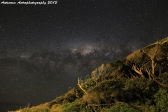 Milky Way over the windswept bush of Maori Bay