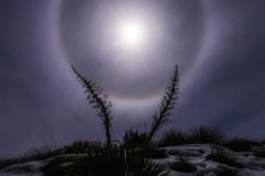 Moon Halo
